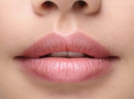 ESTABLISHED ADULT ENTERTAINMENT BUSINESS  NORTHERN SUBURBS