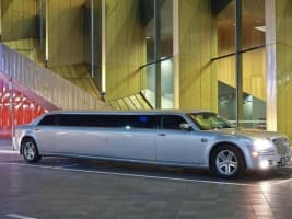Professional Limousine Service