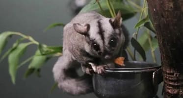 Profitable Pest Control Business for Sale