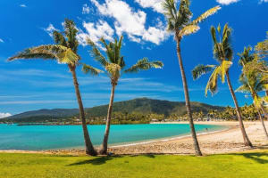 Luxury Whitsundays Resort Business with $463K Net Profit - ID 9194