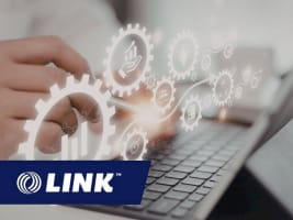 Reliable IT Business with Consistent Income