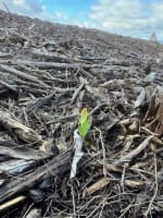 Udhwv60ksuiiphlhbzcr