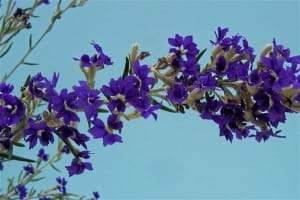 Uuclk4wzmugxxpxzj5hu