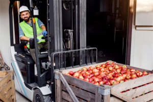 Profitable Fresh Produce Wholesale Business