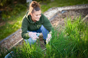WEEDING WOMEN SoR Perth Metro