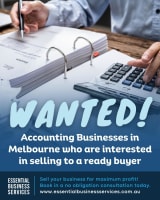 Wanted Business Accounting Practice
