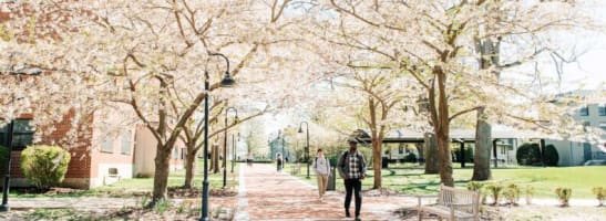 Leasehold available for NDIS, or SRS or Hostel operator (CSNJA97)