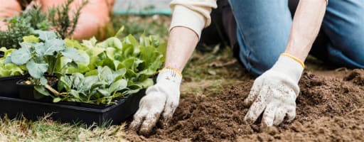 Become a Franchisor – own the system (est. 30 years)