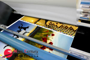 PRINT & COPY SHOP/COURIER-- MELBOURNE--1P11138