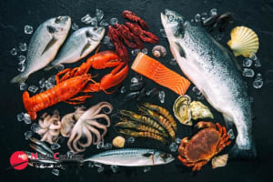 LIVE LOBSTER/EXPORT & SEAFOOD WHOLESALE ---CAMPBELLFIELD  --1P11285