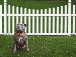 Building/Construction Quotation Website