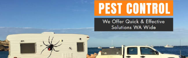 Zt7jyz50fj6k5zlemxjx