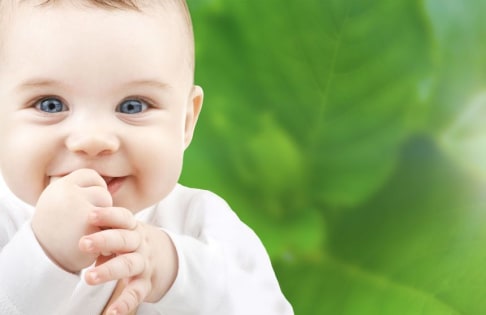 Group 3 Childcare Centres – 1 LDC & 2 OSHC for Sale – $955k