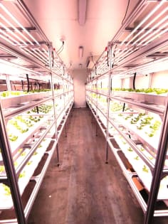 ​Climate-Controlled Greenhouse Equipment & Site Transfer in Laverton