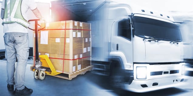 Long Established, Successful and Profitable Sunshine Coast Based Furniture Removals and Storage b...