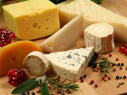 Cheese Manufacturing, Distribution & Retail Business