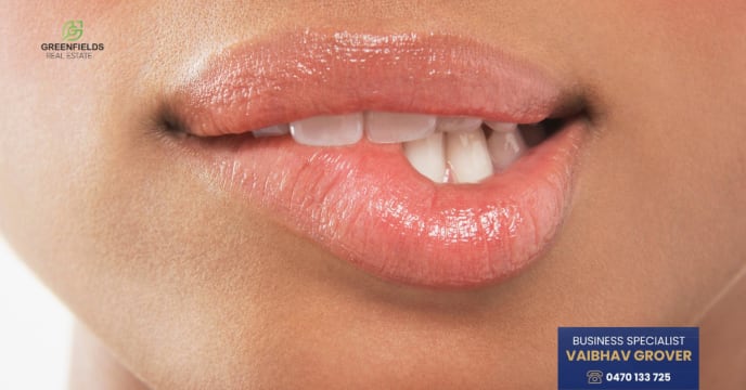 Highly Profitable Adult Entertainment Business  Prime South East Melbourne