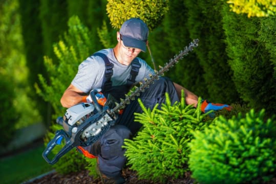 Landscaping - Garden Maintenance - Eastern Suburbs + Lower Nth Shore  - G1818
