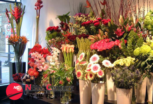 FLORIST-- PASCOE VALE--1P10961