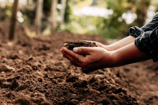 Specialist Soil Testing Laboratory Based in South Australia