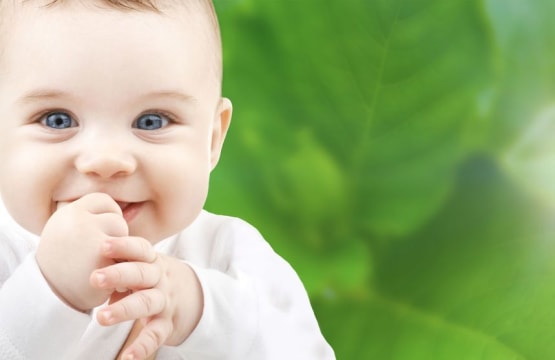Group 3 Childcare Centres – 1 LDC & 2 OSHC for Sale – $995k