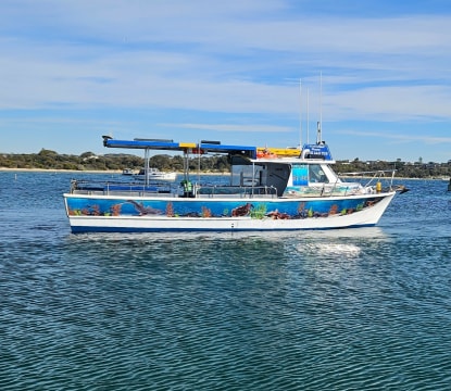 D73yev7wyxycatkunkiu