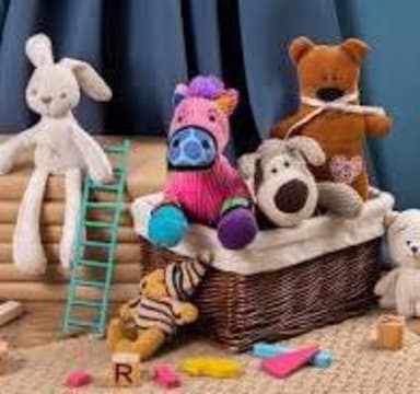 Gold Coast Long History Stable Profit Toy Shop for Sale $350000+stock