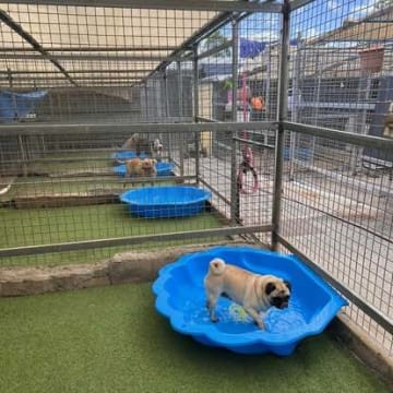 Dtagzzd2gj3zcezgdrvp