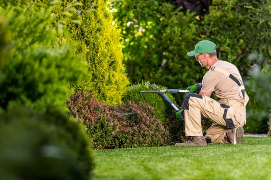 High-Margin Garden Maintenance Business | Long-Term Clients | $255K+ Net Profit