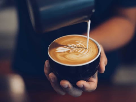 Cafe - Takeaway - Restaurant - Retail