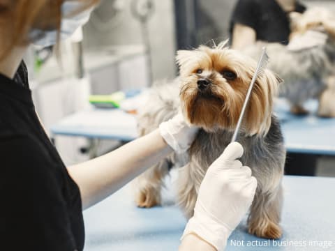 EXPRESS SALE – Pet Grooming at 9 locations in Metro Melbourne