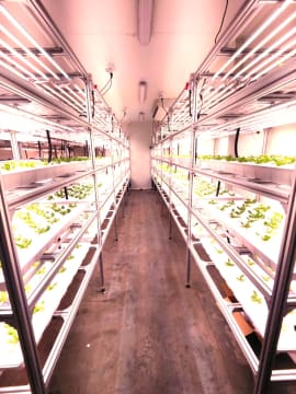 ​Climate-Controlled Greenhouse Equipment & Site Transfer in Laverton