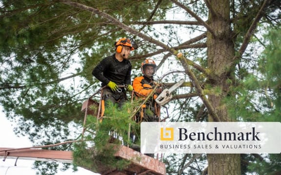 Tier 1 QAA Arborist Contractor – SEQ Council