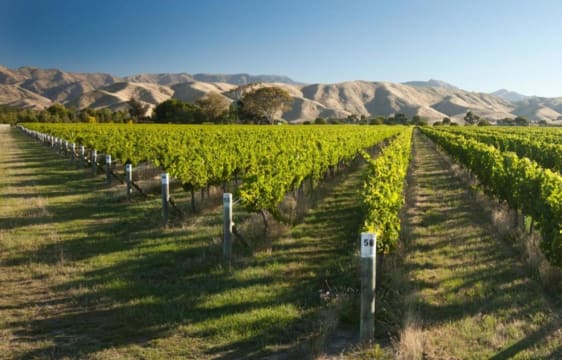 Helqi5dbiszsanyxjfjm