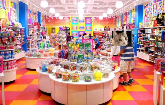 Candy shop business for sale Wollert Epping Craigieburn area
