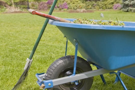 Garden - Services - Landscaping - Nets $3,793 p.w. - 5 Days - Sydney  - SF1664