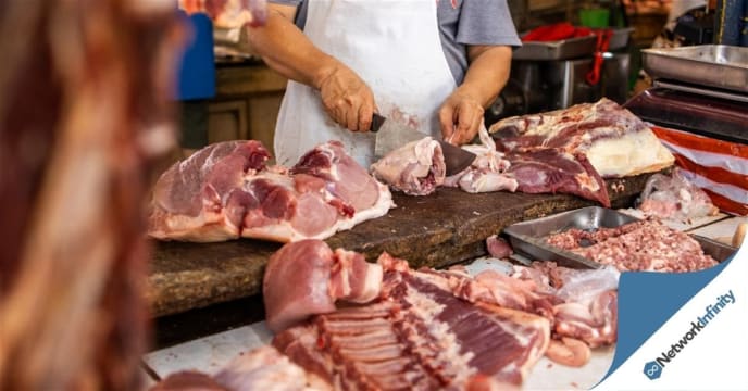 Kck9xm42fdsx1gil1hec