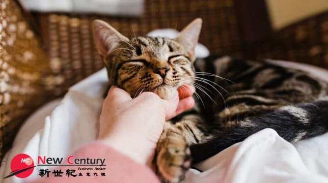 Kntk3ivkttjelabqjv1k