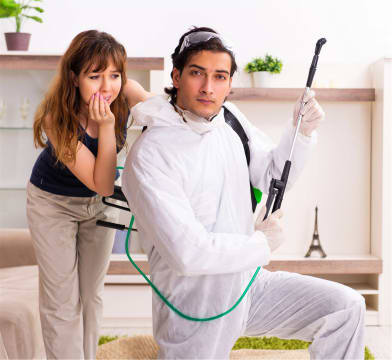 Reputable Pest Control Business - Strong Brand, Solid Profits & Loyal Clients
