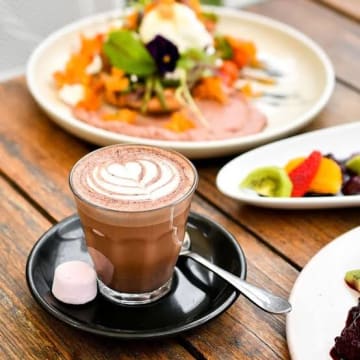 Cafe - Easy To Manage - 37664