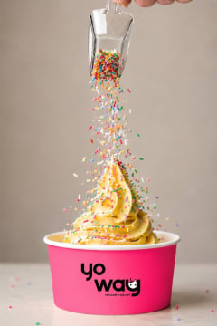 Franchise Yogurt Shop In Wantirna Business For Sale