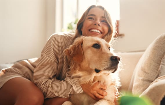 Established Pet Cremation and Funeral Service Business WIWO - Ref: 13569