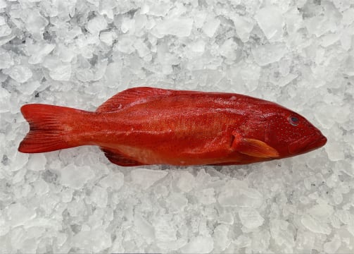 Fresh Seafood and Gourmet Take-Away Store