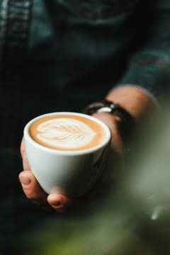 Cairns Cafe for Sale | Established Food & Hospitality Business