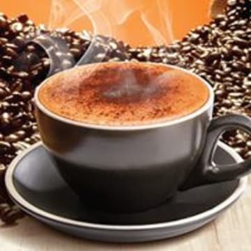 City Hot Spot Cafe - Great Setup - 37155