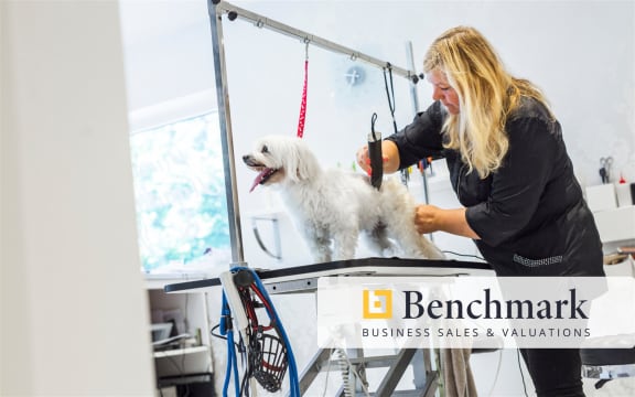 Fully Managed Grooming Salon | Rare Opportunity | Profitable & Well-Established