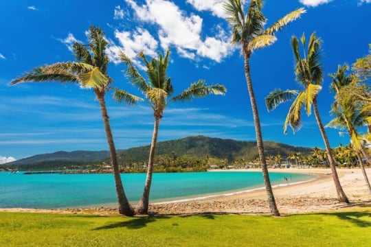 Luxury Whitsundays Resort Business with $463K Net Profit - ID 9194