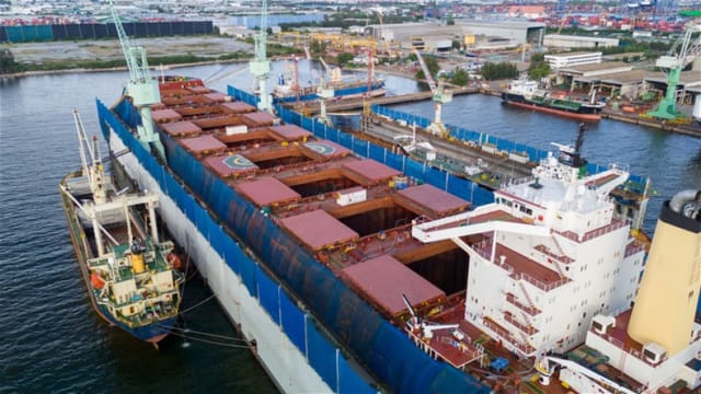 Thriving Export Services Business in South East QLD