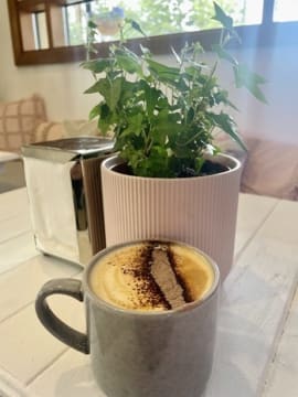 ​New release Norwood $79,950 plus SAV Trendy, Vibrant Café – Immaculate Presentation