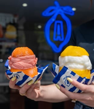 Instagram-Loved Artisan Sorbet Brand (DM2503)